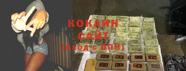 шишки Аркадак
