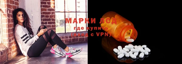 шишки Аркадак