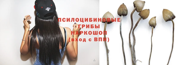 дурь Армянск