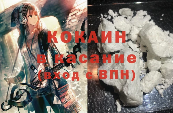 шишки Аркадак
