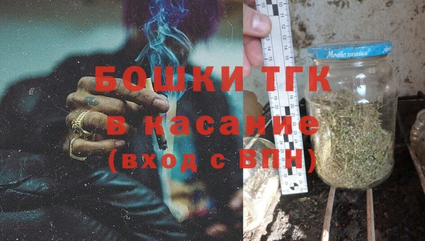 шишки Аркадак