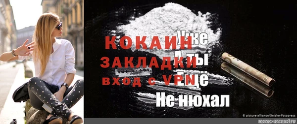 шишки Аркадак