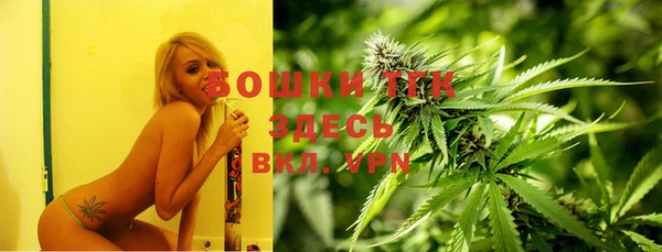 шишки Аркадак