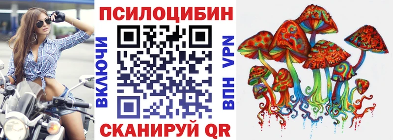 площадка наркотические препараты  продажа наркотиков  Чусовой  Псилоцибиновые грибы Cubensis 